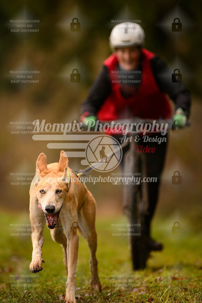 MompixPhotography_2SSTSSBW_2025_SO_Scooter-42 | PayLife