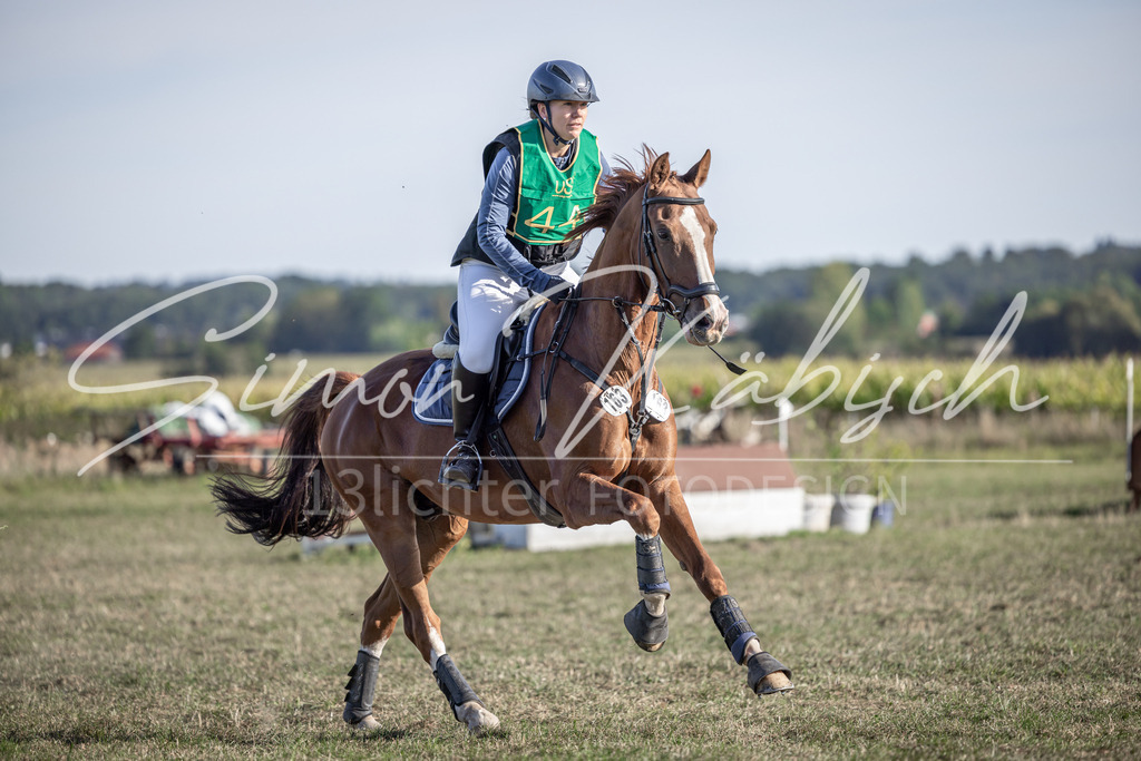 20250907-_3LI4479 | Tierfotografie Pferde, Hunde, Katzen, Haustiere.
Turnierfotografie Reitturniere, Reiten, Springreiten, Dressur in Hanau, dem Main-Kinzig-Kreis und dem Rhein-Main- Gebiet um Frankfurt