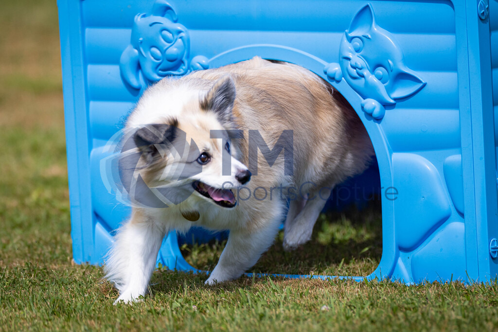 TP-20240815-0142 | Copyright: Trainproduction / Matthias Trinkl