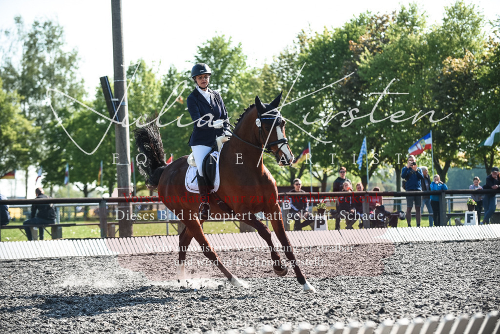 DSC_8545 | Pferde- und Turnierfotografie in Westsachsen. Pferdeportraits, Auftragszeichnungen und intuitive Kunst.