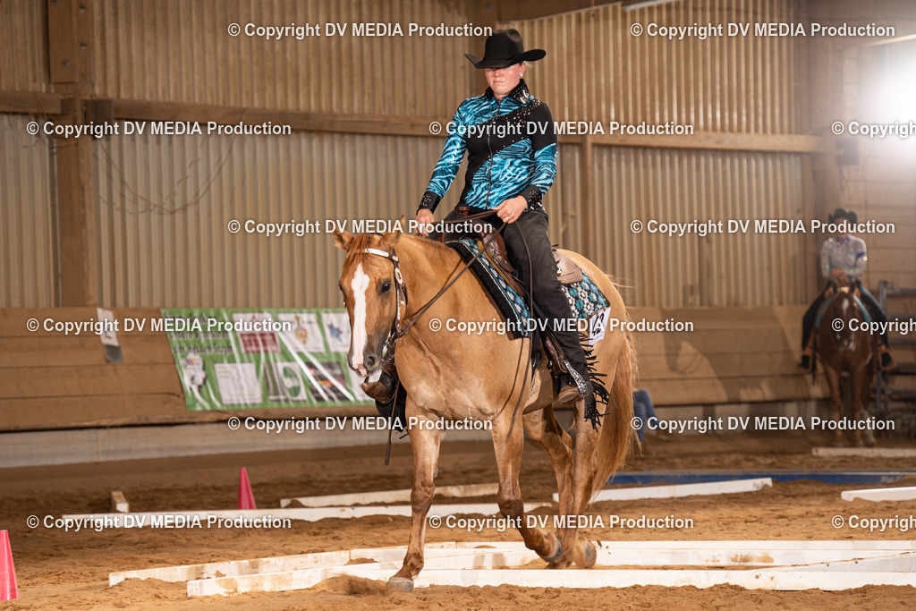 NID00579 | dv-media-shop - Realisiert mit Pictrs.com