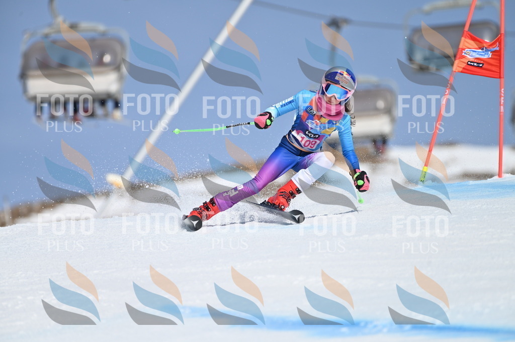 BGV_9612 | holidayphoto