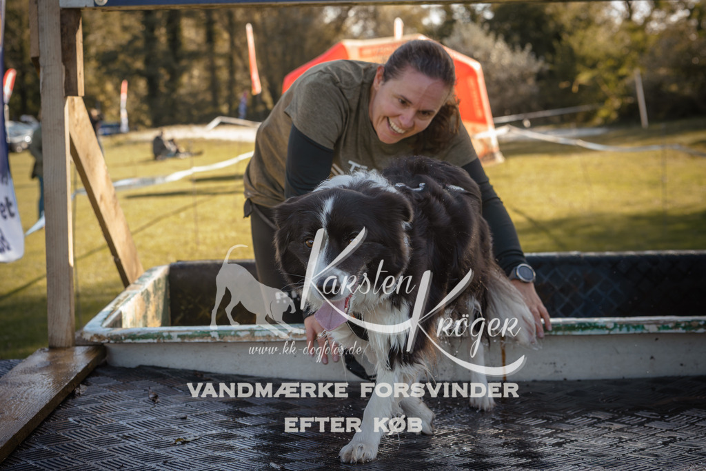 1216_ZZ95281 | kk-dogfotos