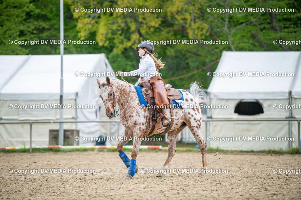 Heiligenwald Tag 1-1294 | dv-media-shop - Realisiert mit Pictrs.com