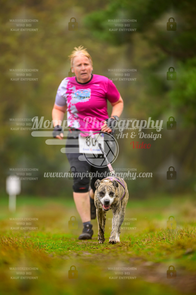 MompixPhotography_Bischwiller2025_Canicross-168 | mompixphotography