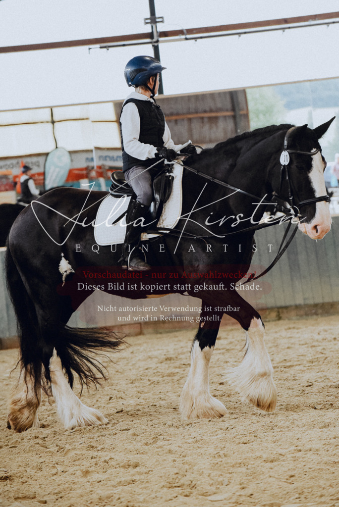 DSC_7186 | Pferde- und Turnierfotografie in Westsachsen. Pferdeportraits, Auftragszeichnungen und intuitive Kunst.