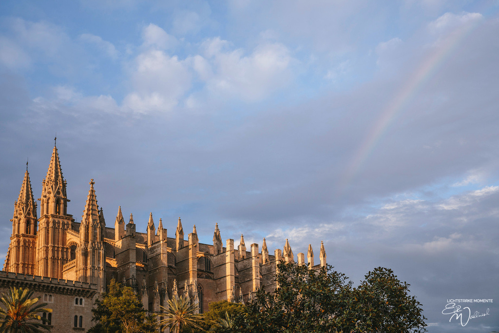 Catedral de Mallorca | Herzlich willkommen auf meiner Seite! Ich bin Elke Wallnisch, Deine Fotografin für lichtstarke Momente. Der Name steht für alles, was mich mit der Fotografie verbindet: Das Licht und seine machtvolle Wirkung auf eine Situation oder unsere Stimmung - Realisiert mit Pictrs.com