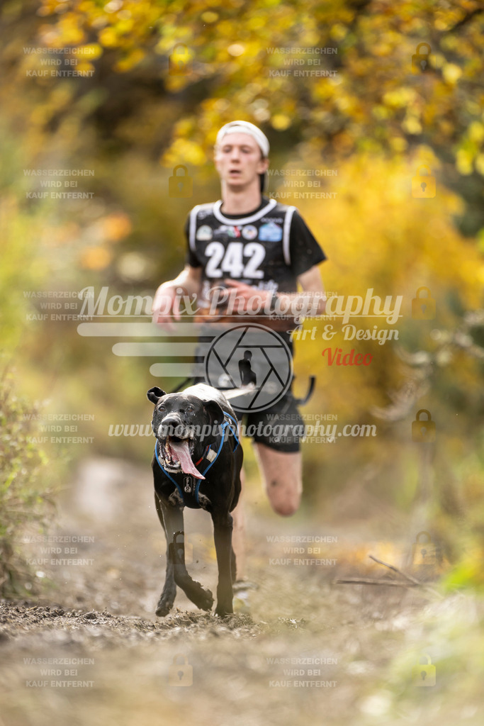 MompixPhotography_ICF_WC_2024_SA_Run_-26 | PayLife
