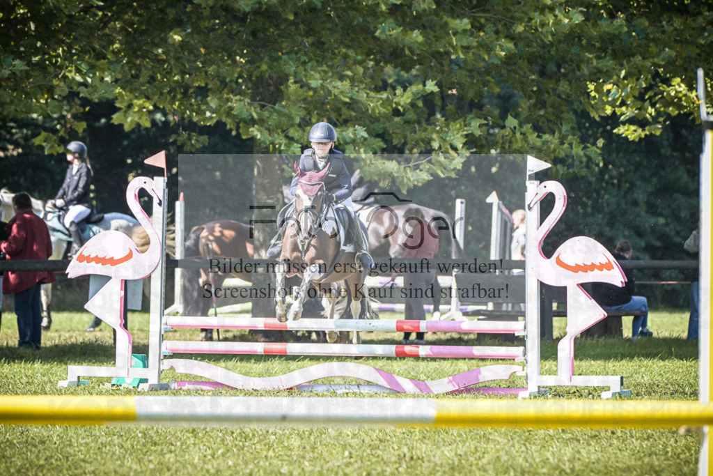 DOS_0212 | Entdecke hochwertige Reitturnierfotos von Foto Oger. Professionell, emotional und authentisch – jetzt Lieblingsmomente im Shop bestellen.Deutschlandweite Turnierfotografie. - Realisiert mit Pictrs.com
