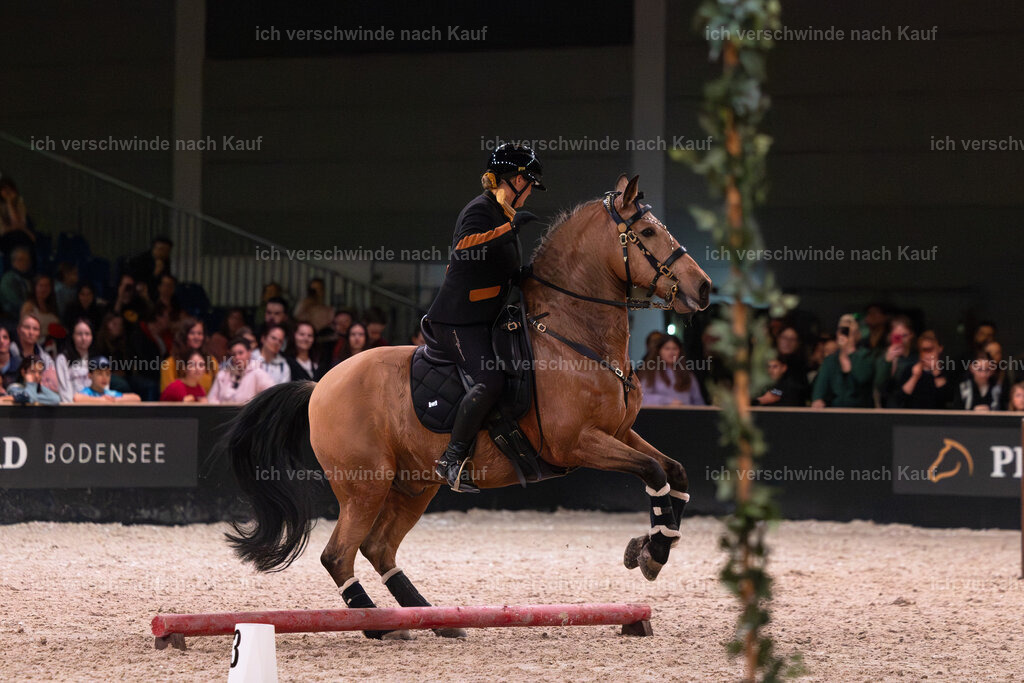 JoseraCup-215 | working equitationturnier fotograf videograf stoibphotography marixx film working equitation deutschland reitsport turnierfotografie eventfotografie equestrian events