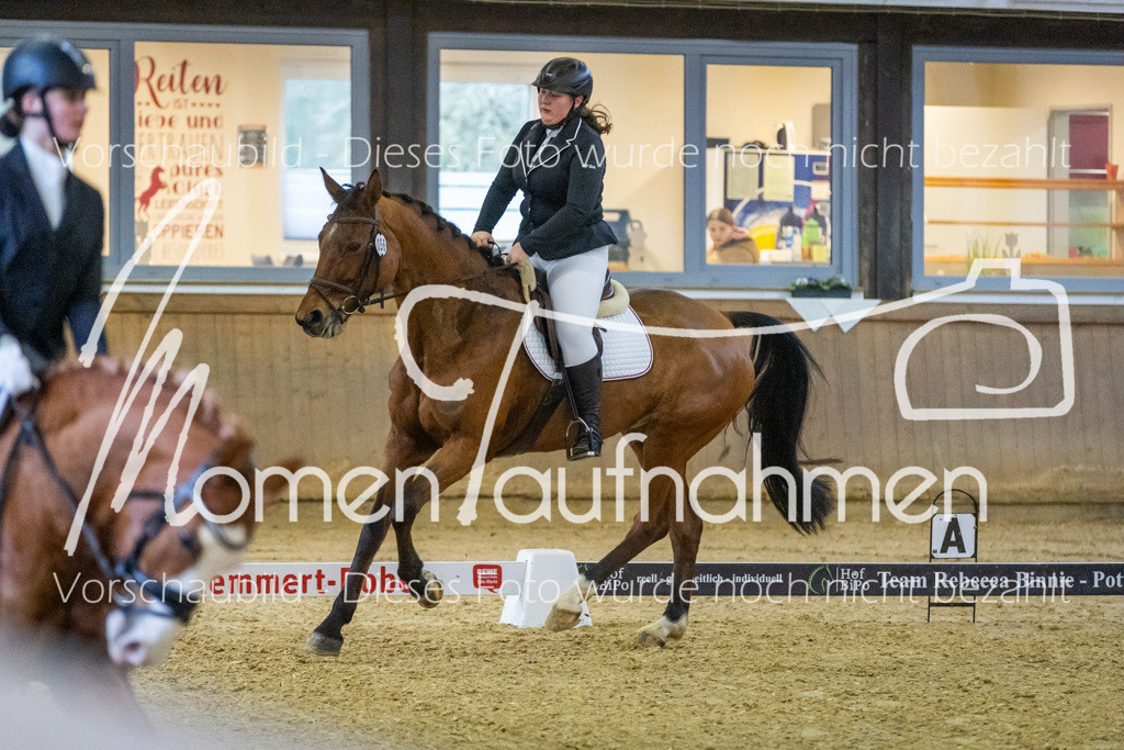 Sth-WBO25-DrR-086 | MomenTaufnahmen Pferdesportfotos