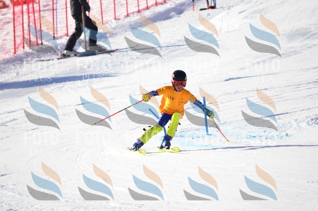 C6340 | holidayphoto