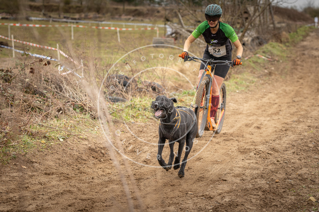 DV3A1431 | Hundefotografie, Tierfotograf, Pfotenfotografie, Fotoshooting Hund, Hunde Portrait, Hundesport, Hundeportraits, Heideshooting, Hunde, Sportfotograf, Hundefotograf, Turnierhundsport, THS,  - Realisiert mit Pictrs.com