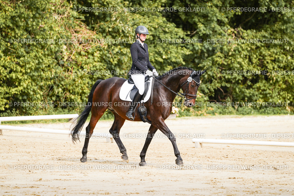 DSC01558 | Pferdegrafie