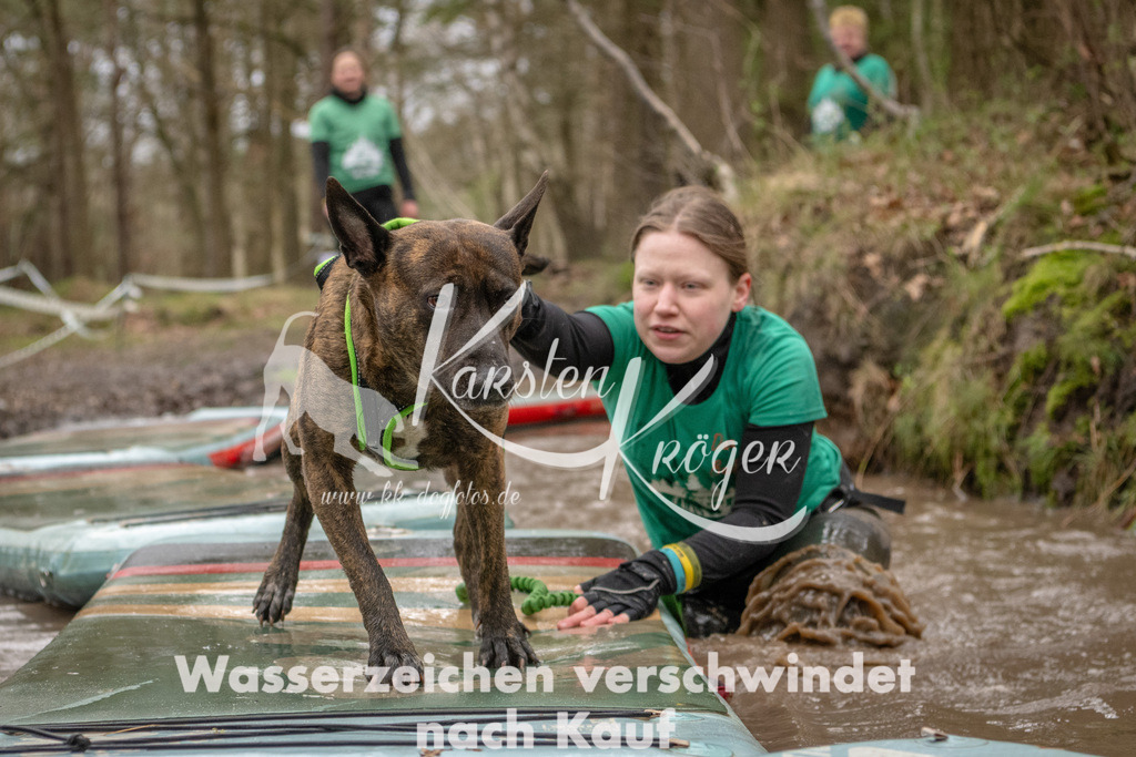 1140_ZZ94135 | kk-dogfotos