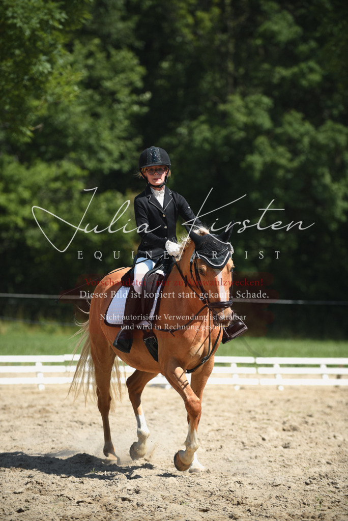 DSC_2460 | Pferde- und Turnierfotografie in Westsachsen. Pferdeportraits, Auftragszeichnungen und intuitive Kunst.