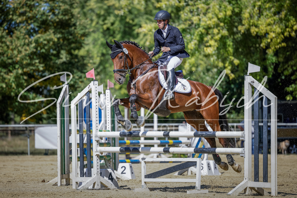 20250906-_3LI4175 | Tierfotografie Pferde, Hunde, Katzen, Haustiere.
Turnierfotografie Reitturniere, Reiten, Springreiten, Dressur in Hanau, dem Main-Kinzig-Kreis und dem Rhein-Main- Gebiet um Frankfurt