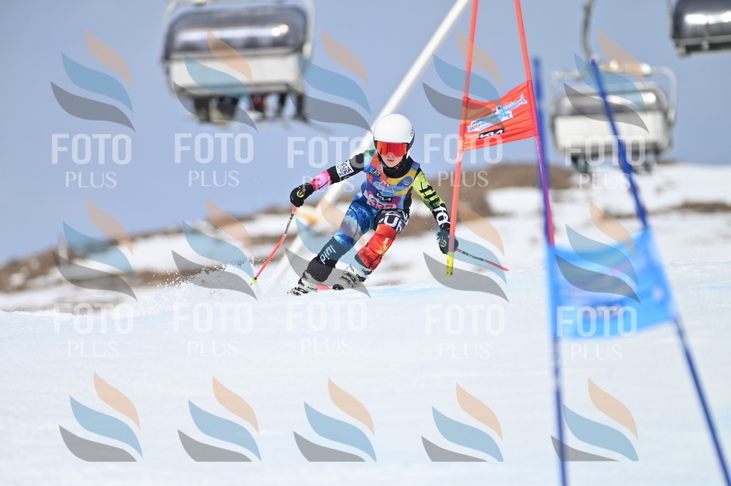 BGV_3387 | holidayphoto