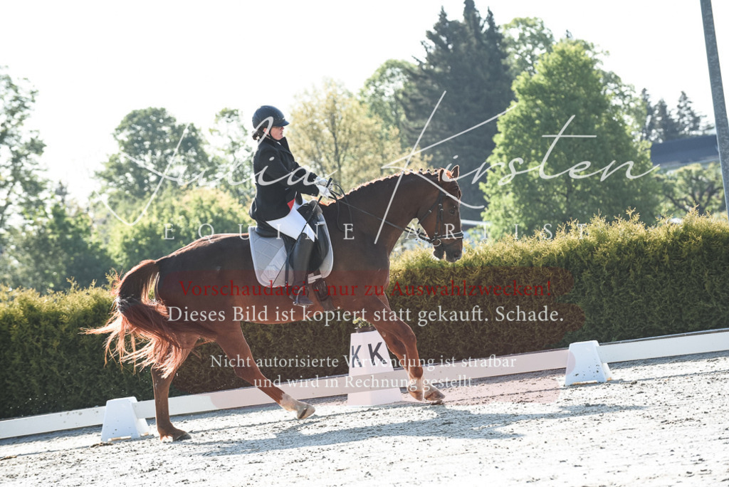 20230518_JK-Röhrsdorf-09-0529 | Pferde- und Turnierfotografie in Westsachsen. Pferdeportraits, Auftragszeichnungen und intuitive Kunst.