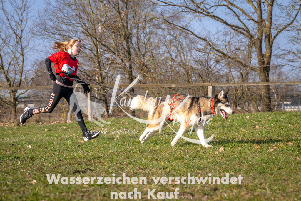 _ZZ93347 | kk-dogfotos