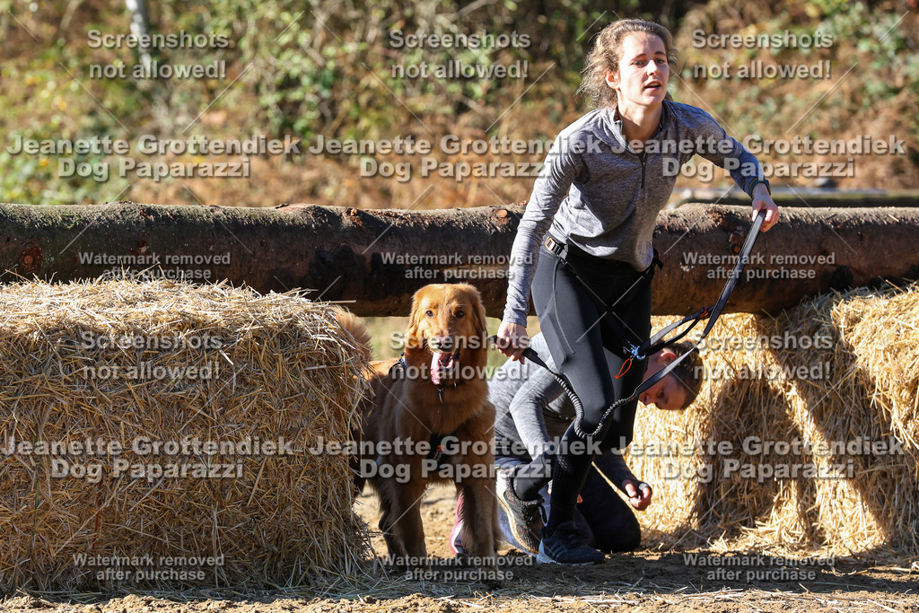 Dog Paparazzi - Strongdog 10-25-2393 | Dog Paparazzi Jeanette Grottendiek Fotografie & Videografie - Realisiert mit Pictrs.com