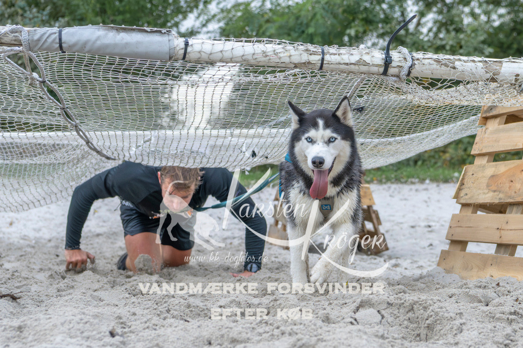 1125_ZZ96670 | kk-dogfotos