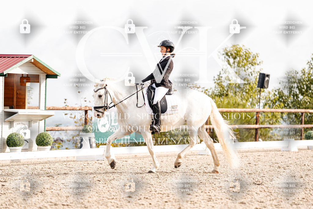 CK901241 | Turnierfotografie Pferdefotografie Trier Rheinland-Pfalz Pferdesport Reitsport Tierfotografie Sportfotografie Pferdevideo Pferdevideografie Equestrianvideography equestrianphotography  - Realisiert mit Pictrs.com