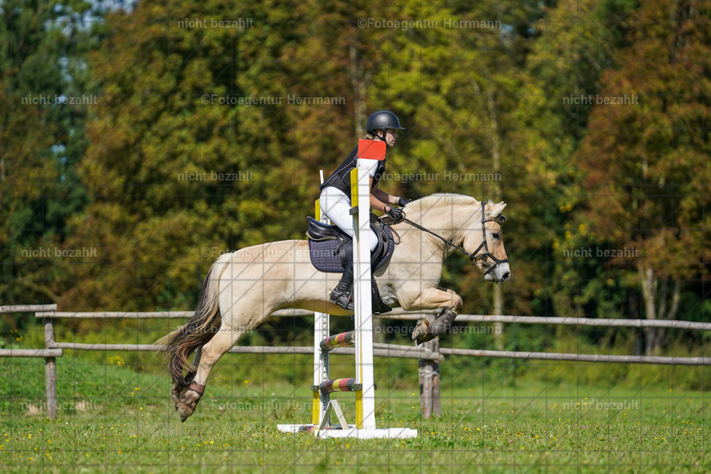 20230917-FAH09434 | Landsberg am Lech, 2023, Kaufbeuren, Kempten, Allgäu, Turnierfotografen Bayern, Fotoagentur Herrmann, Turnierbilder, Reitsport Fotos, Pferdefotograf, Augsburg, Bad Tölz, Dachau, Karlsfeld, Memmingen, Buchloe, Schwabmünchen
