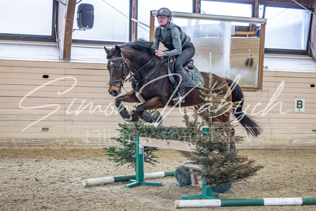 20260222-_3LI1611 | Tierfotografie Pferde, Hunde, Katzen, Haustiere.
Turnierfotografie Reitturniere, Reiten, Springreiten, Dressur in Hanau, dem Main-Kinzig-Kreis und dem Rhein-Main- Gebiet um Frankfurt