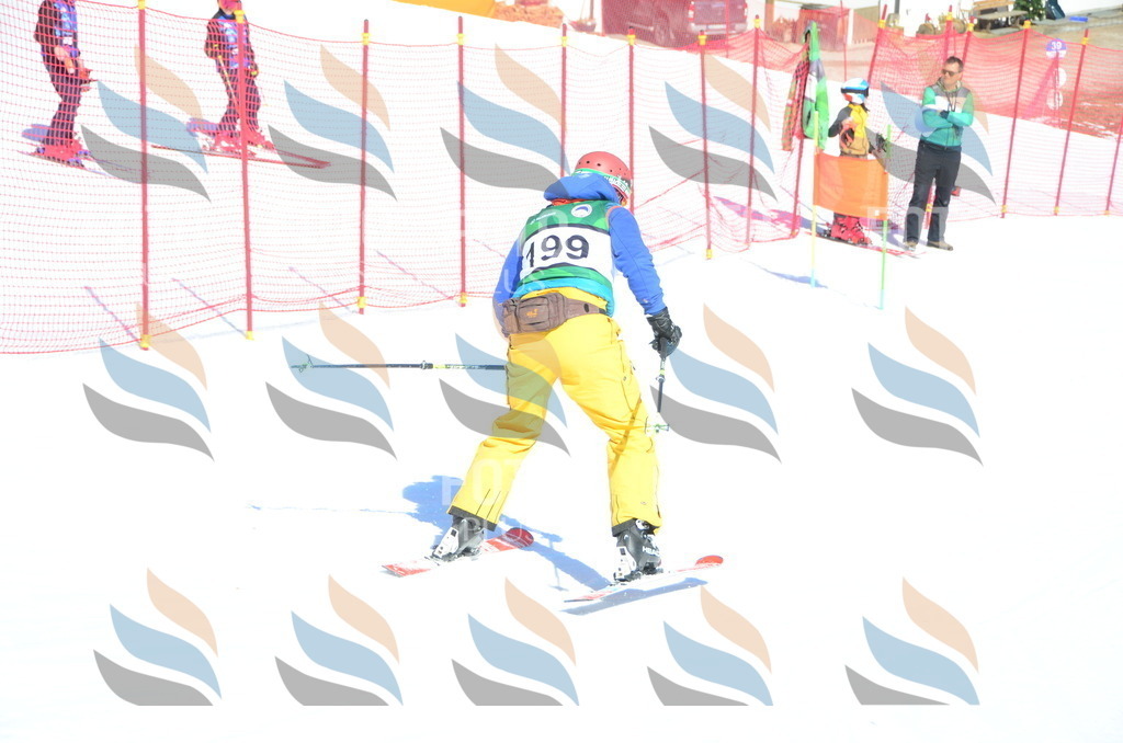 C6611 | holidayphoto