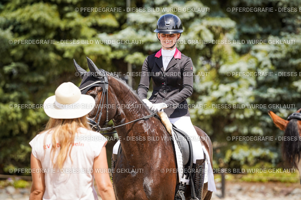 DSC01760 | Pferdegrafie