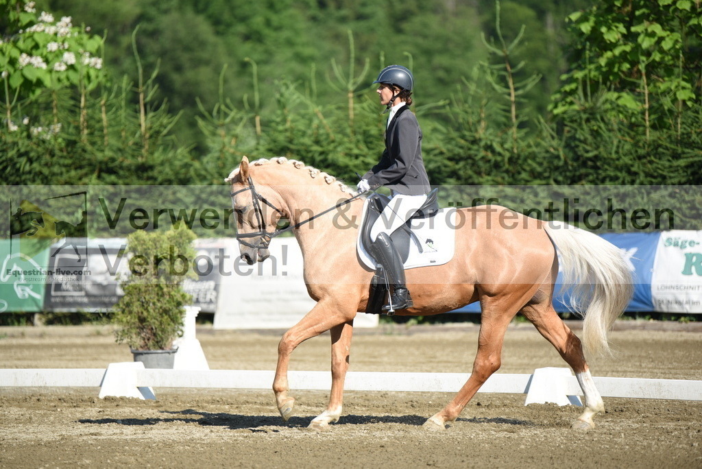 DSC_6977 | equestrian-live-com