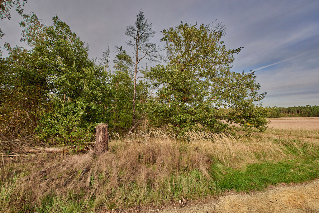 Bei der Grube Gotthold 02 | Bedeutsame Landschaften Deutschlands - Realisiert mit Pictrs.com