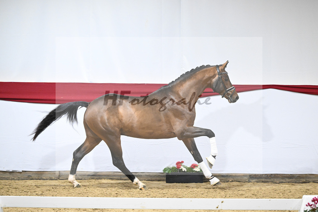 Kat-Nr. 60 v. Valverde_Schoenland_63221834 | hf-fotografie - Realizzato con Pictrs.com
