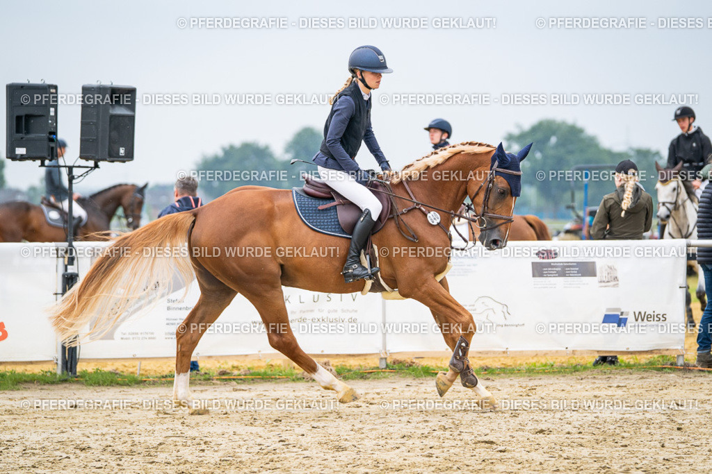 DSC00456 | Pferdegrafie