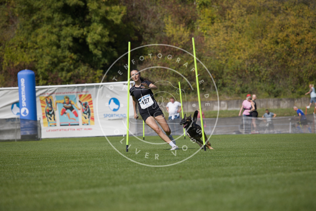 0L8A2876 | Hundefotografie, Tierfotograf, Pfotenfotografie, Fotoshooting Hund, Hunde Portrait, Hundesport, Hundeportraits, Heideshooting, Hunde, Sportfotograf, Hundefotograf, Turnierhundsport, THS,  - Realisiert mit Pictrs.com