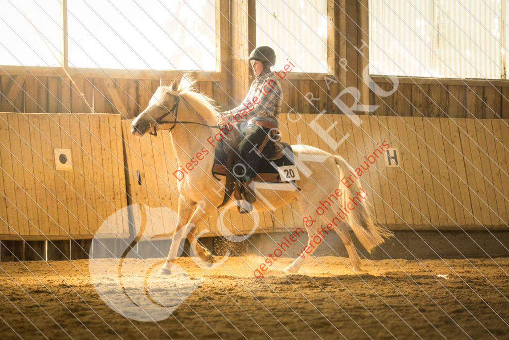 IMG_1478 | Sport-, Event- und Tierfotos in Profiqualität. Einfach auswählen, bestellen und herunterladen. Dein Moment – perfekt festgehalten.