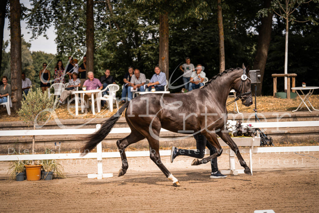 4.Fr00080 | Leoni Ertmer Photography - Realisiert mit Pictrs.com