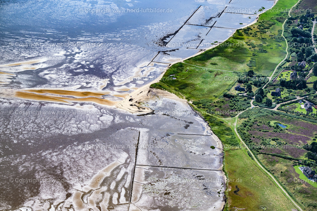 Sylt_Kampen_Ostseite_Wattseite_Schlauchalgenteppich_ELS_4182130825 | KAMPEN (SYLT) 13.08.2025 Sand Landzunge mit "Schlauchalgenteppich " an der Wattenmeerseite in Kampen (Sylt) im Bundesland Schleswig-Holstein, Deutschland. // Sand headland with "tube algae carpet" on the Wadden Sea side in Kampen (Sylt) in the federal state of Schleswig-Holstein, Germany. Foto: Martin Elsen