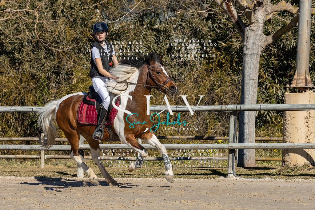 IMG_8431 | s-jay-photography - Realisiert mit Pictrs.com