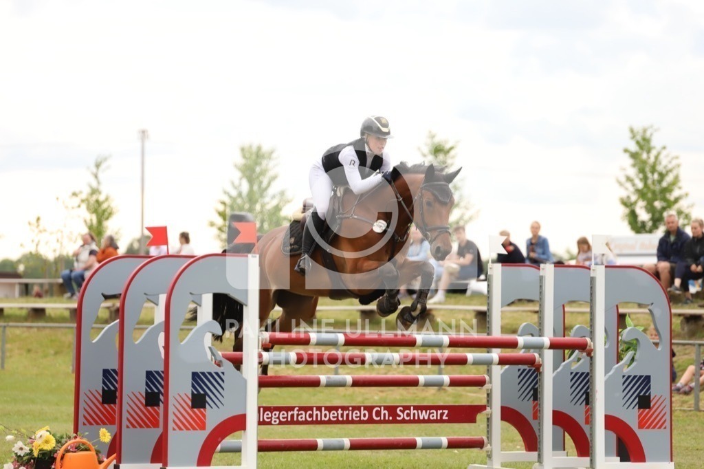 IMG_8012 | Pauline Ullmann Photography - Realisiert mit Pictrs.com