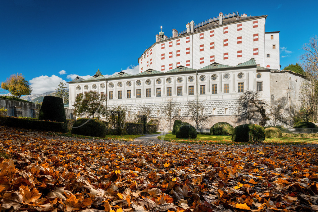 DSC00538 | Professioneller Fotograf - Bildbestellung online - Wandbilder vom Profi für ihr Zuhause, Büro, Praxis, Firma - große Auswahl an Materialien und Formaten, über 1400 regionale Motive