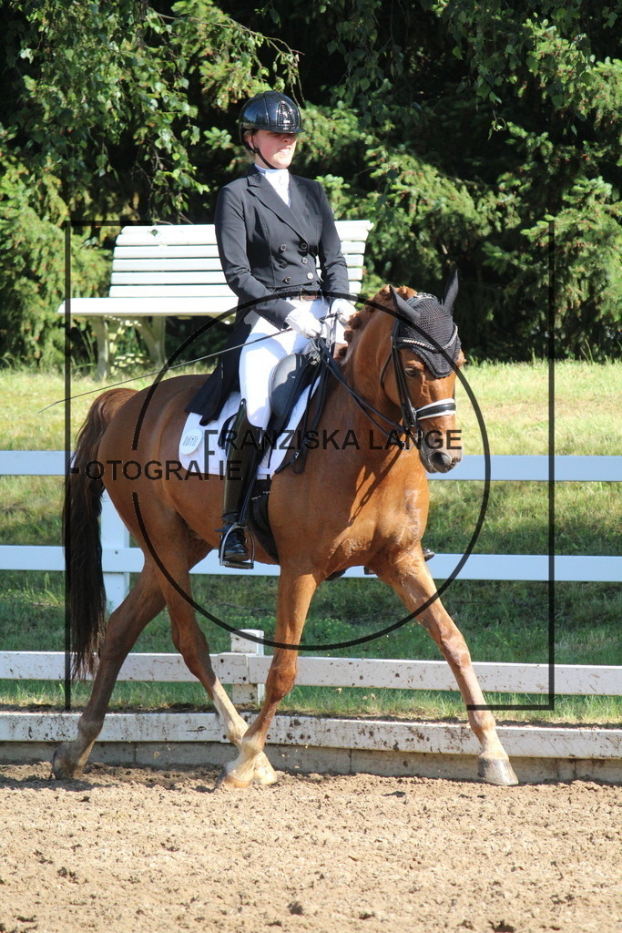 IMG_6480 | franziskalange - Realisiert mit Pictrs.com