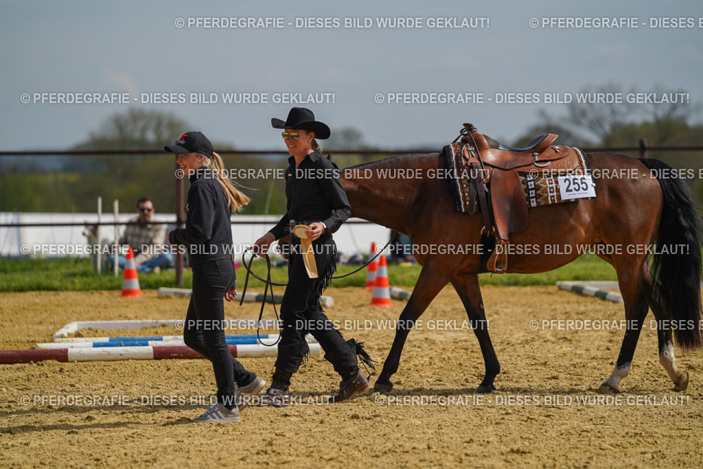 DSC04218 | Pferdegrafie