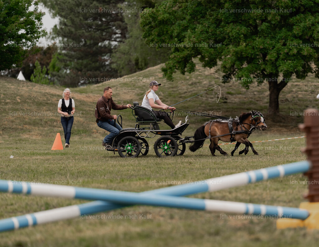 Showprogramm-497 | working equitationturnier fotograf videograf stoibphotography marixx film working equitation deutschland reitsport turnierfotografie eventfotografie equestrian events