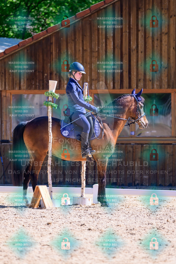 01052026-Giesenbach-02-Stiltrail-0625 | Fokus Hufschlag Fotografie - Realisiert mit Pictrs.com