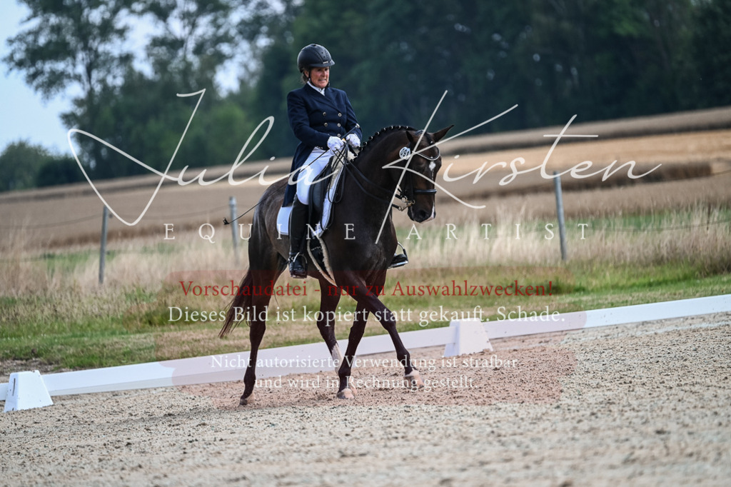 DSC_2234 | Pferde- und Turnierfotografie in Westsachsen. Pferdeportraits, Auftragszeichnungen und intuitive Kunst.