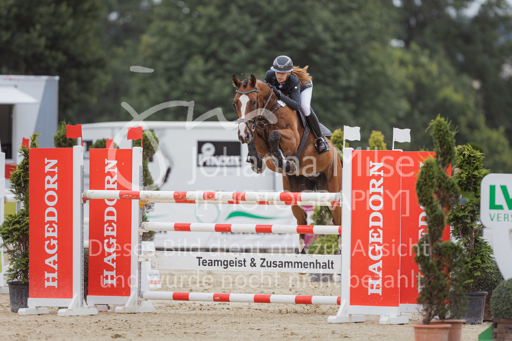 220729_BHO_GT_M2-Spr_1-255 | Deine schönsten Turniermomente als professionelle Fotos! Entdecke hochwertige Pferdesport-Fotografie im Online-Shop. Jetzt Fotos finden & bestellen!