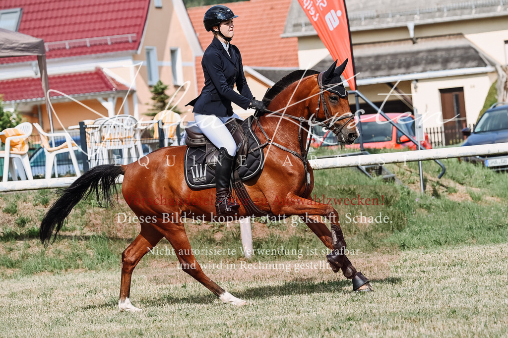 DSC_7898 | Pferde- und Turnierfotografie in Westsachsen. Pferdeportraits, Auftragszeichnungen und intuitive Kunst.