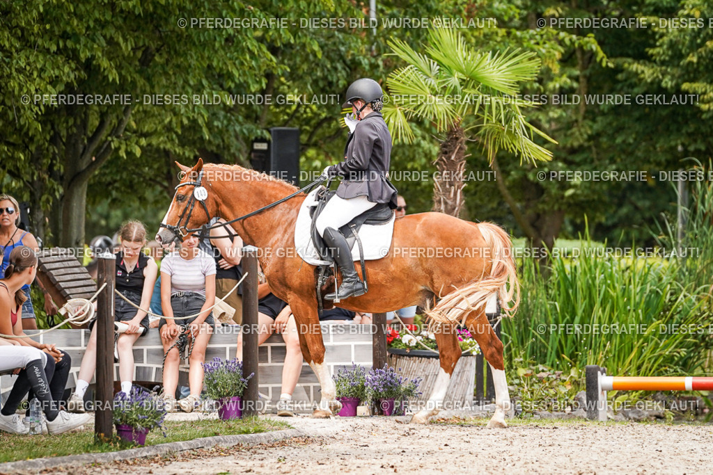 DSC04330 | Pferdegrafie